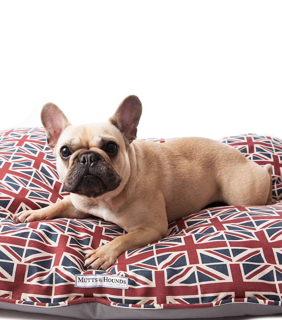 Union Jack Pillow Dog Bed (Medium) RED/BLUE/CREAM Image 3
