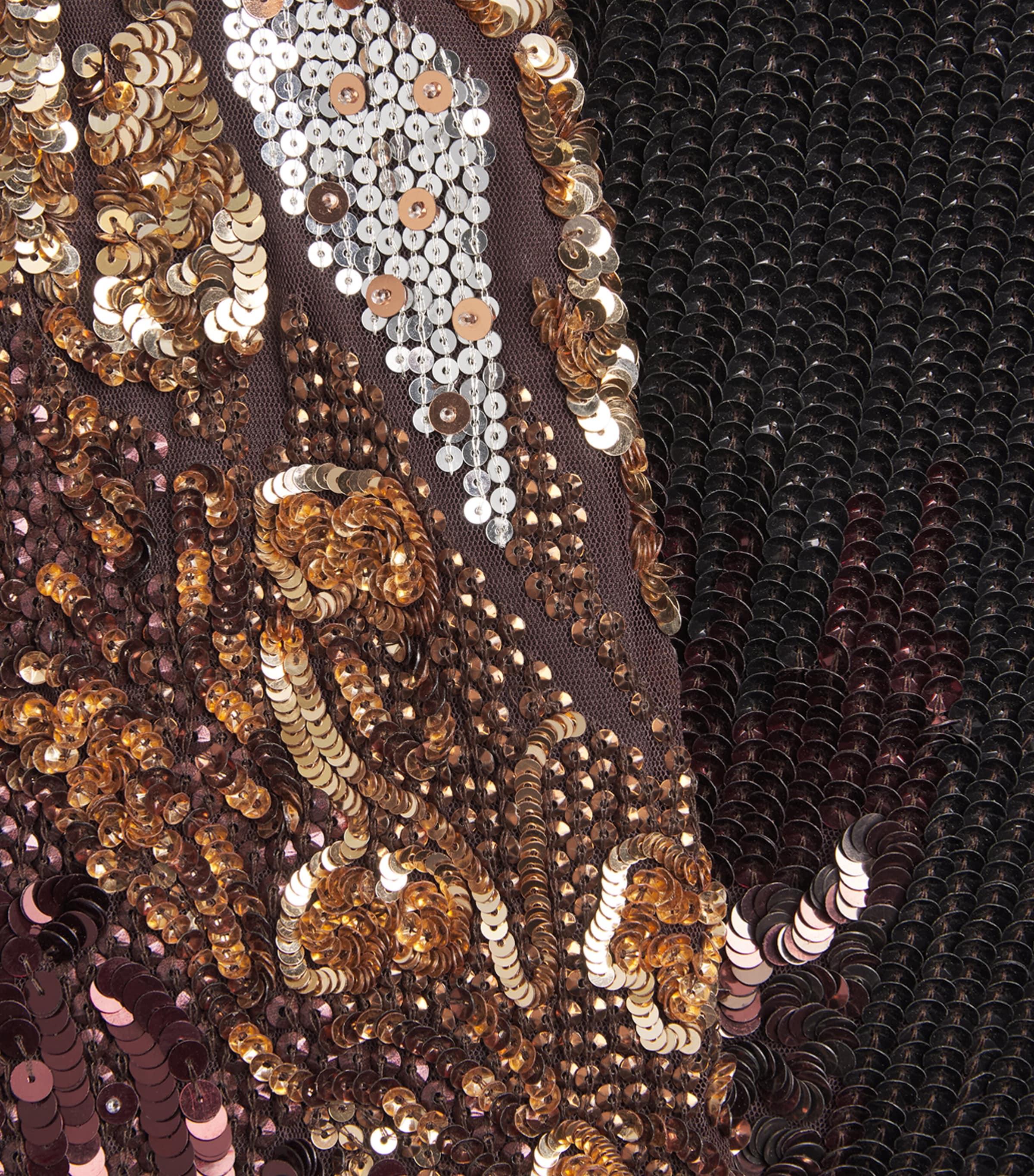 Jenny Packham Womens Embellished Wild Rose Gown Cacao Image 6