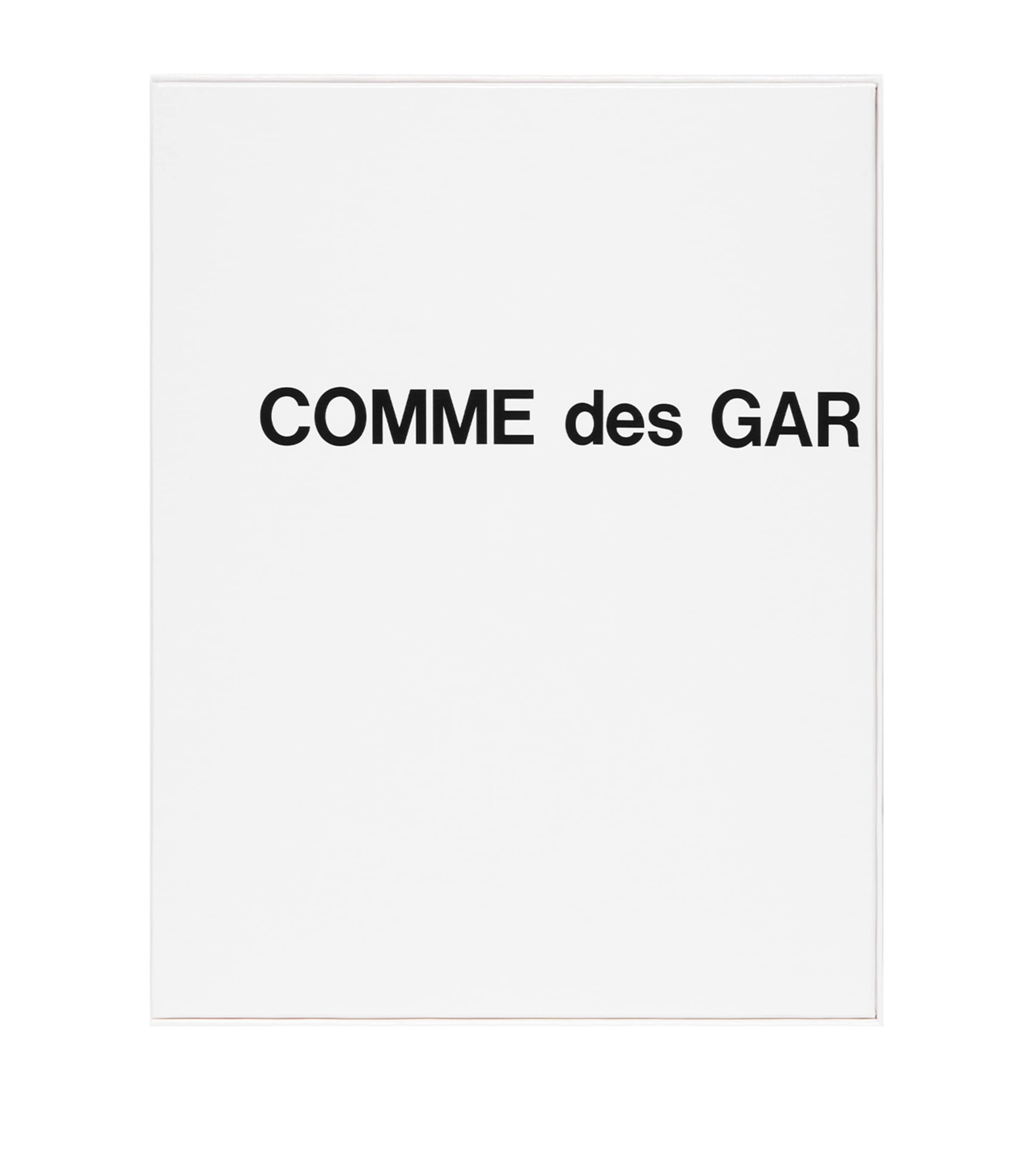 Comme des Garçons Eau de Parfum (100ml) MULTI Image 3
