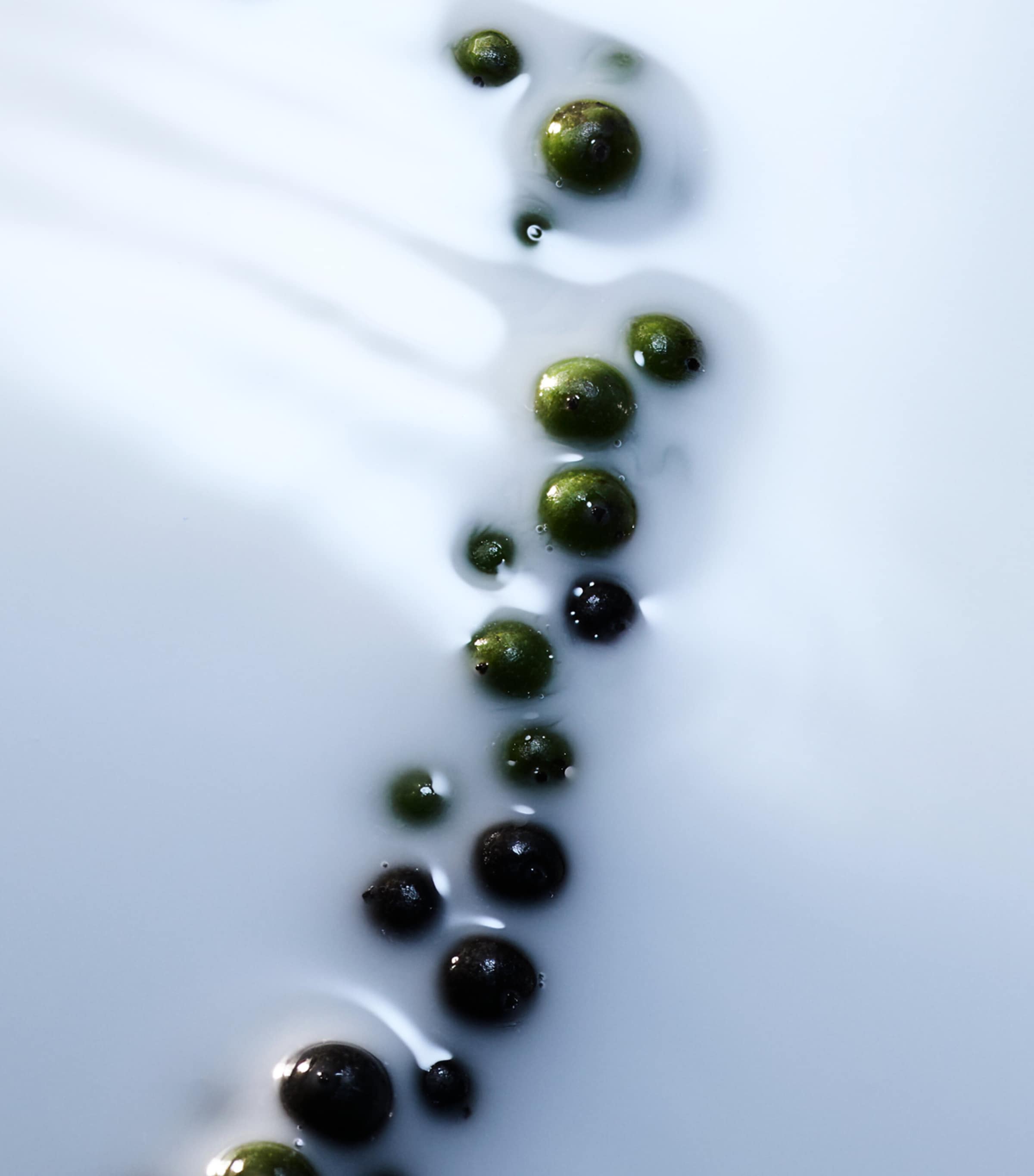 Blanche Absolu de Parfum (100ml) NO COLOUR Image 4