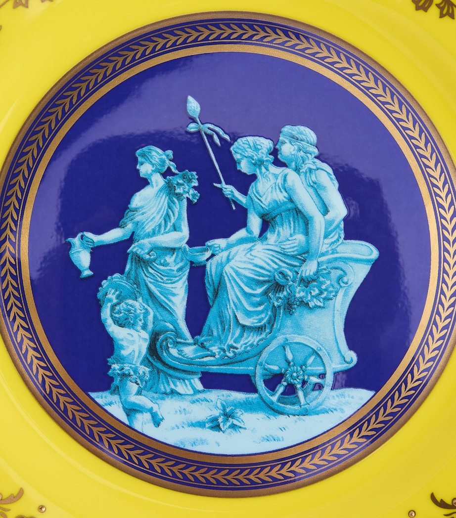 Bacchus Plate (20.6cm) MULTI Image 5