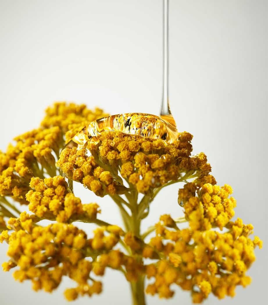 Plantscription Wrinkle Correction Eye Cream with Encapsulated Retinol (15ml) NO COLOUR Image 6