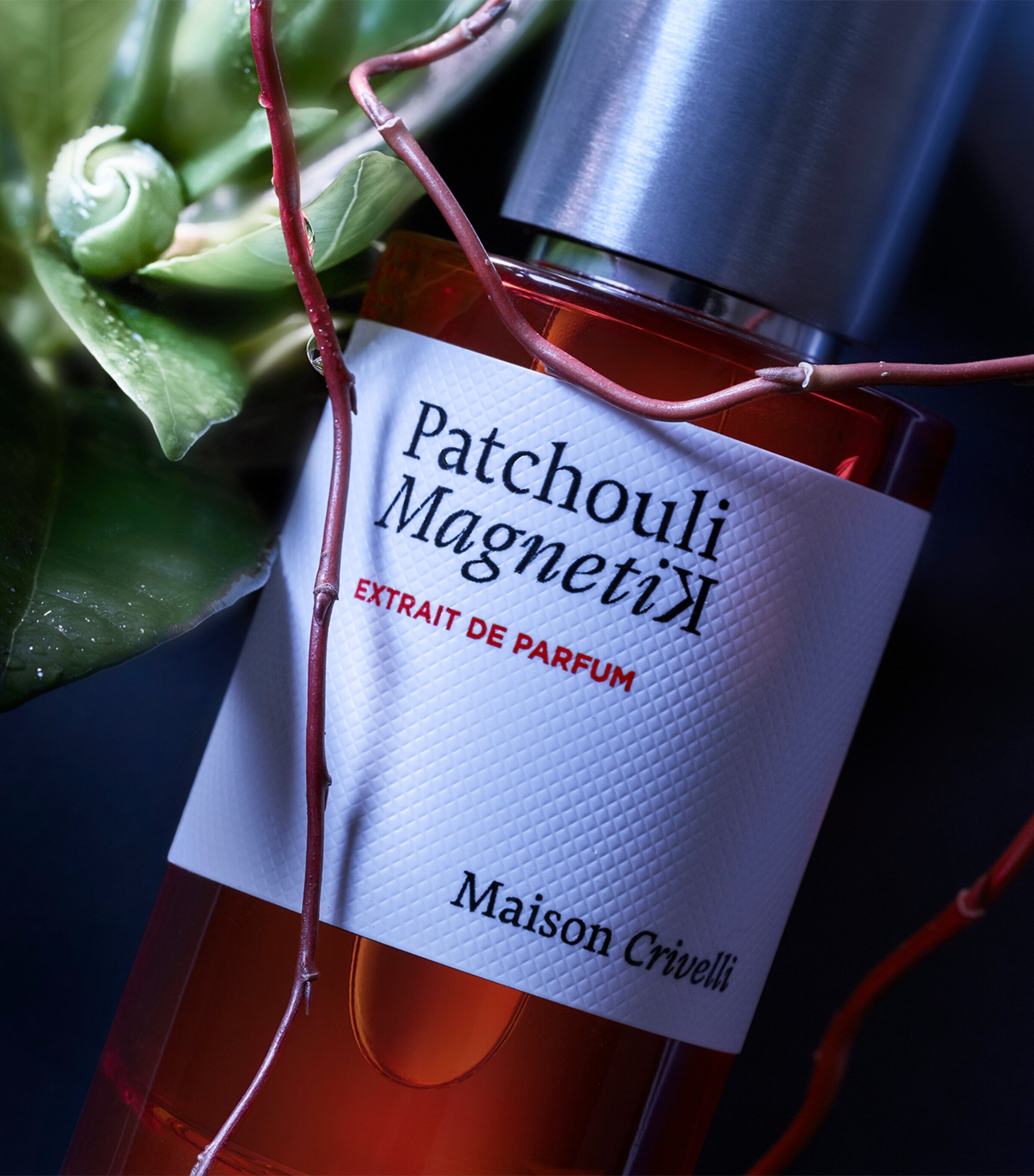 Patchouli Magnetik Perfume Extract (50ml) NO COLOUR Image 3
