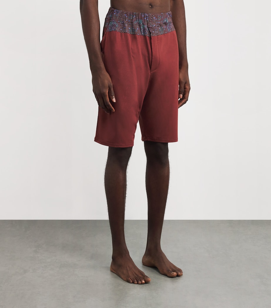 Paisley Trim Aristo Shorts CLAA-CLAY/ART STW RD Image 3