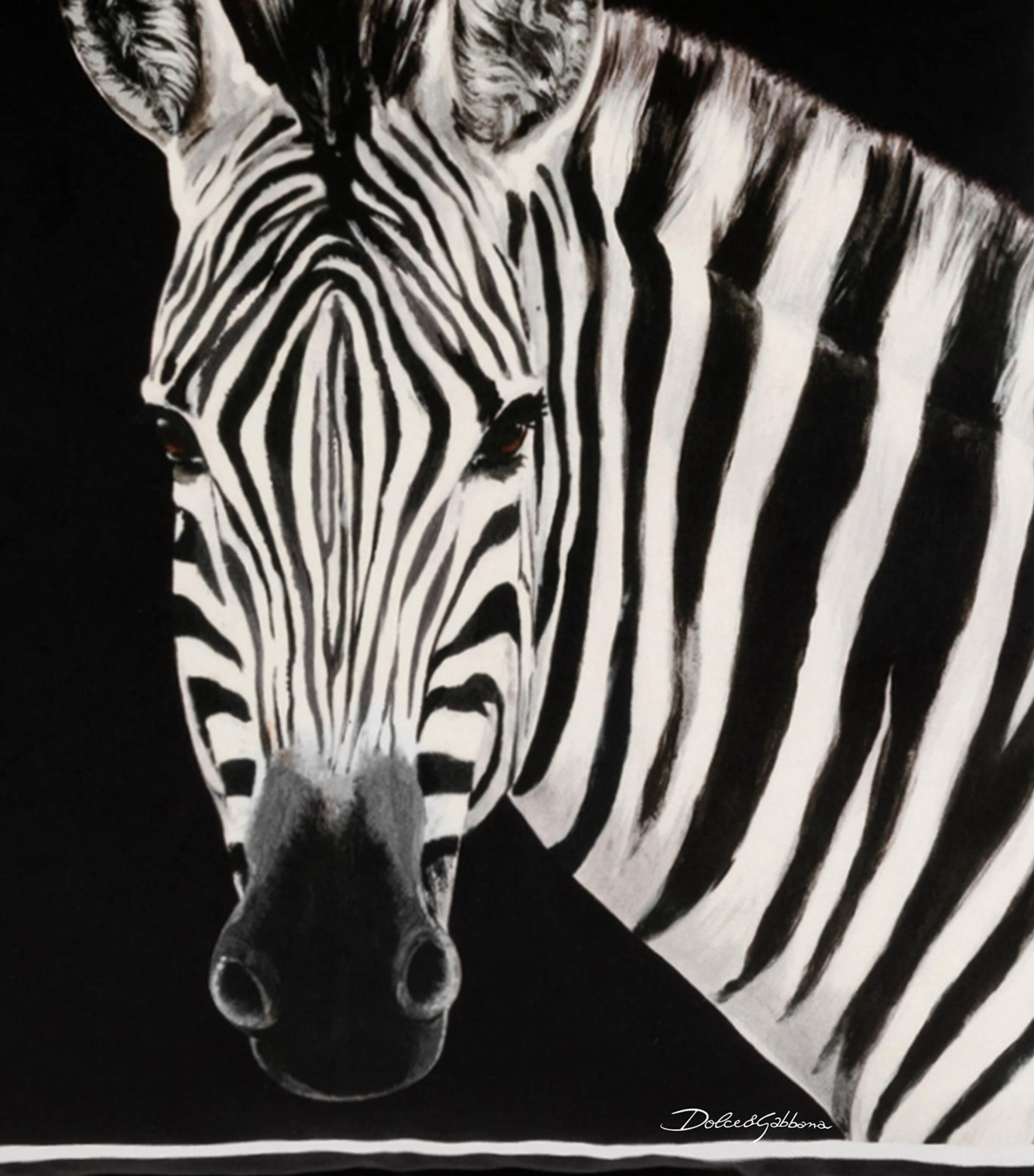 Cotton Zebra Cushion (45cm x 45cm) UZ005 ZEBRA F DO NER Image 4