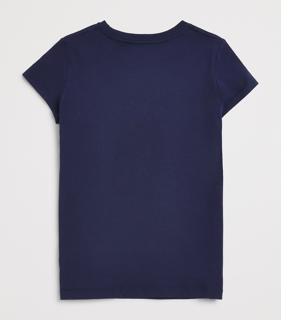 Landscape Bear Graphic T-Shirt (2-7 Years) NAVY Image 2