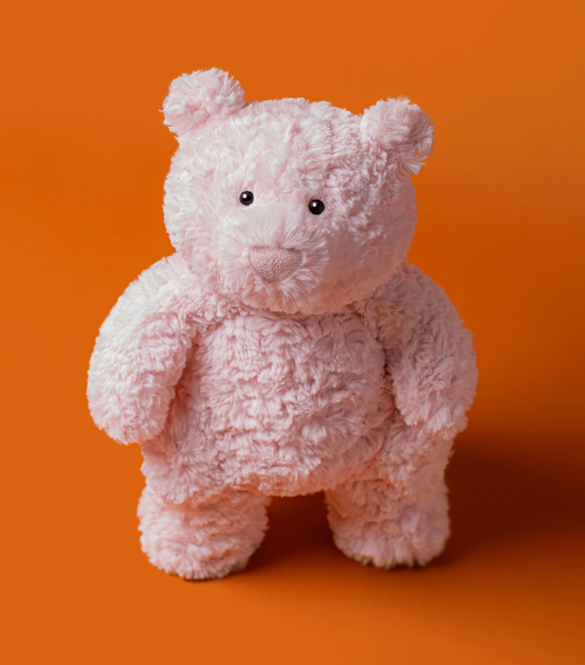 Jellycat Medium Leola Bear (26cm) Image 8