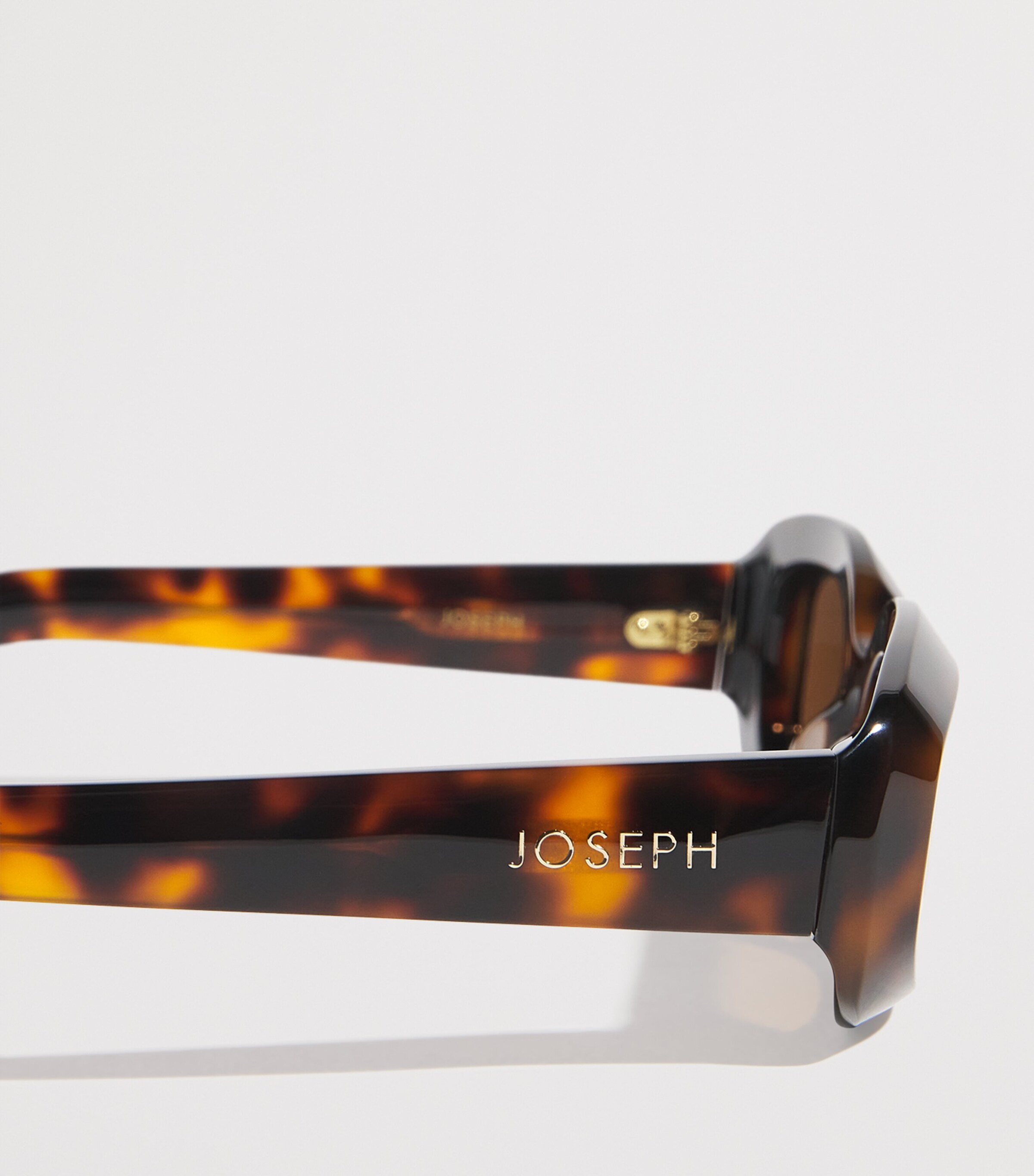 Oval Bahia Sunglasses TORTOISE Image 5