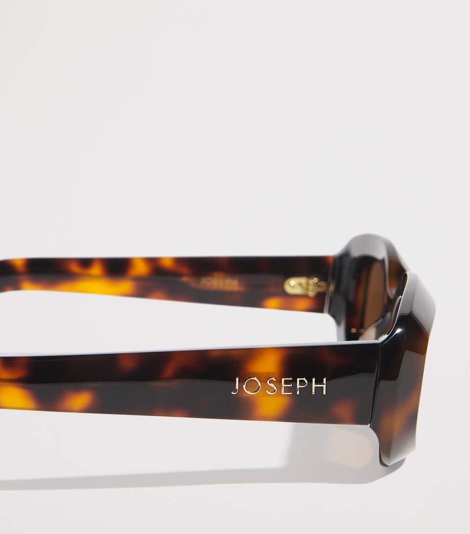 Oval Bahia Sunglasses TORTOISE Image 5