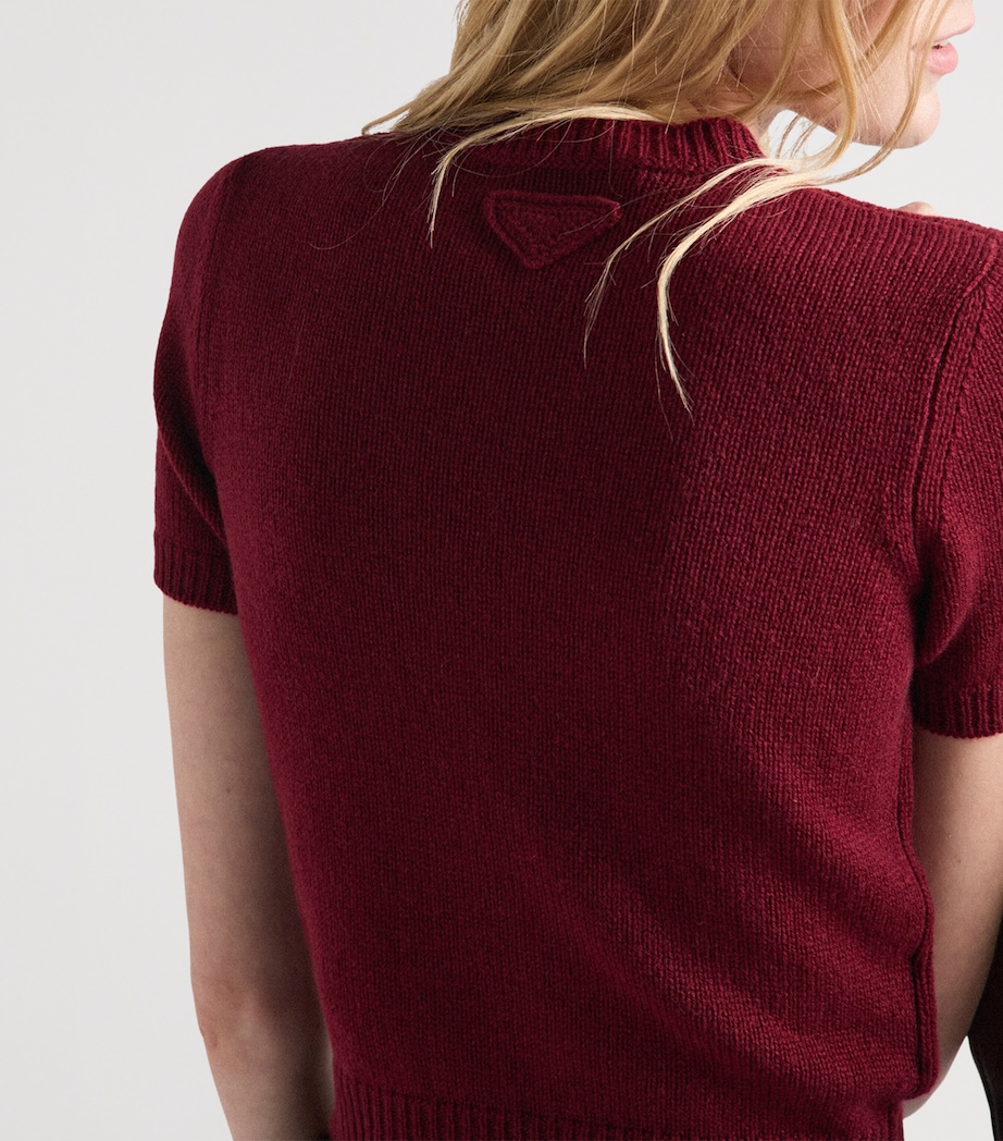 Cashmere Short-Sleeve Sweater F0399 Image 6
