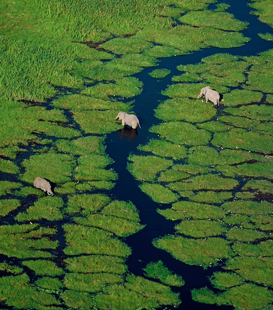 Aqua Allegoria Pera Granita Eau de Toilette (125ml) NO COLOUR Image 3