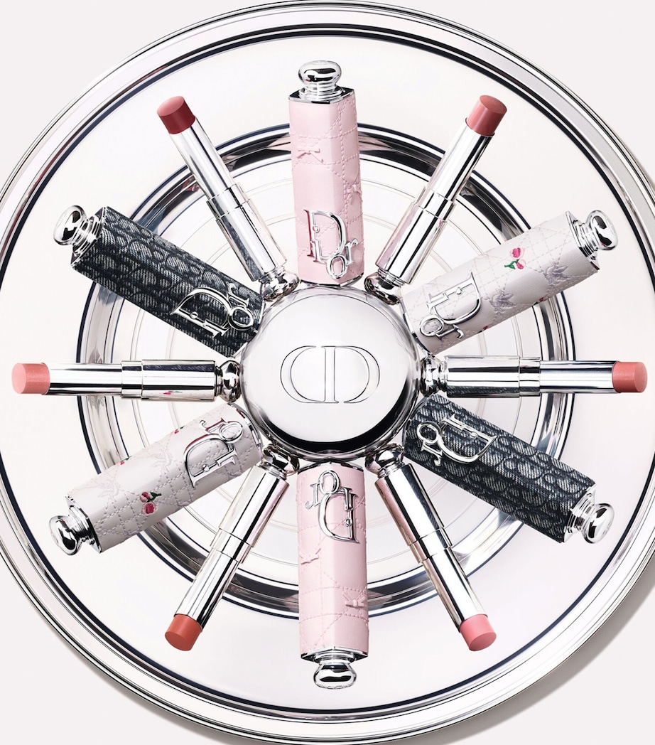DIOR Dior Addict Lipstick Case White Image 2