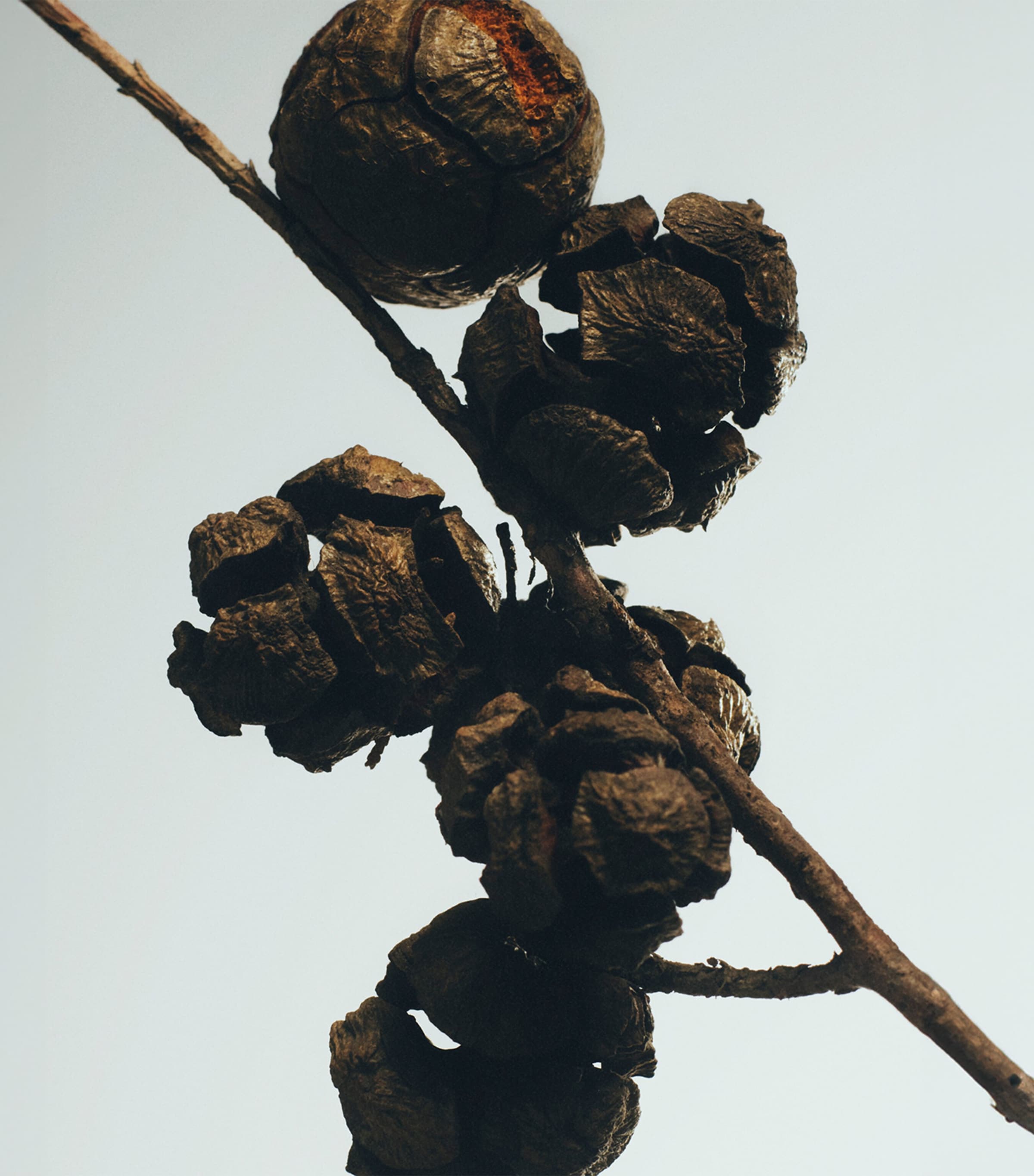 Cypress Balls Room Spray (150ml) NO COLOUR Image 3