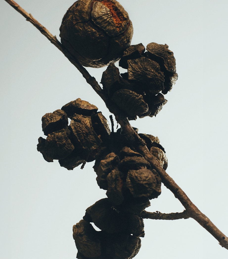 Cypress Balls Room Spray (150ml) NO COLOUR Image 3