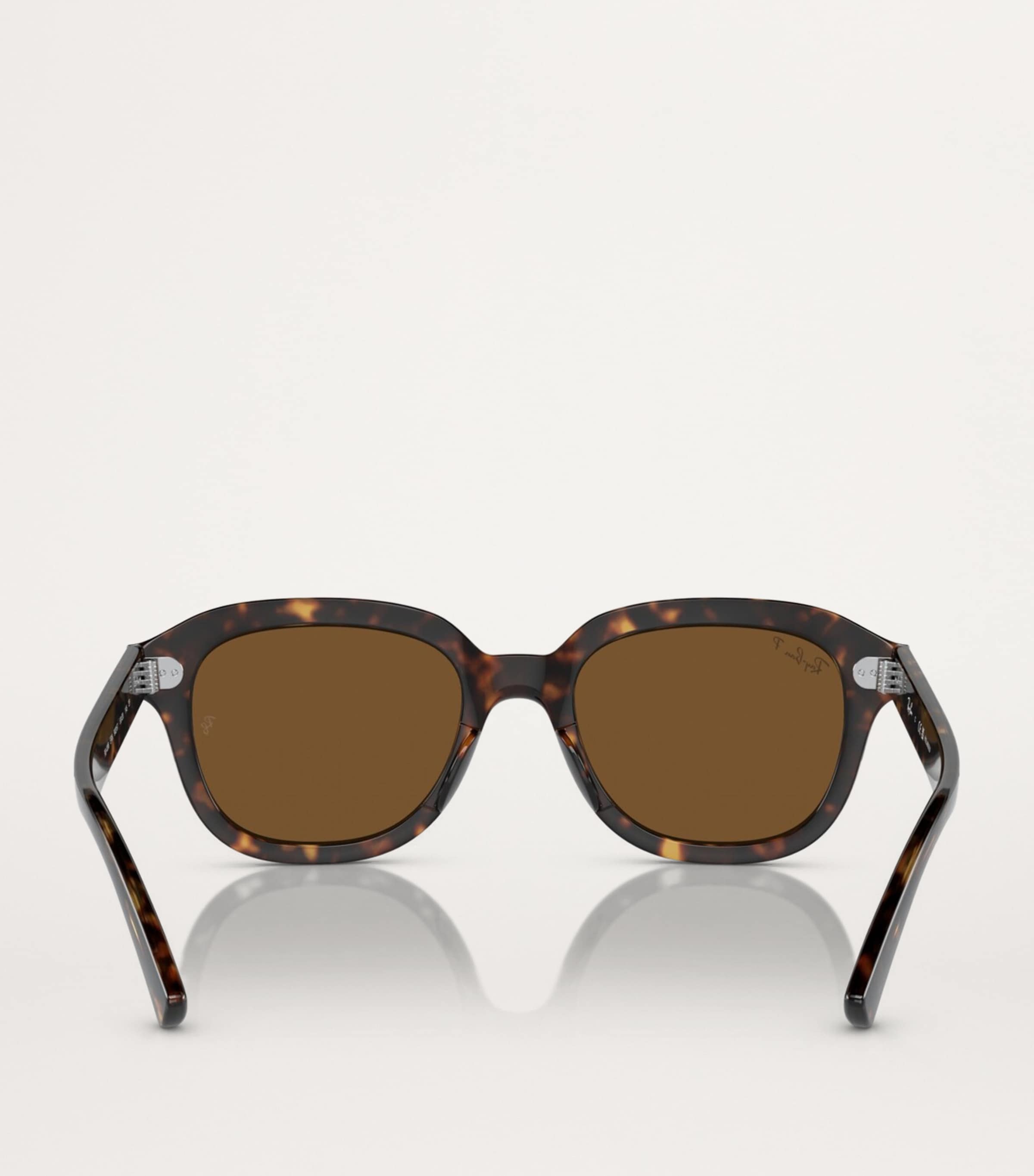 Ray-Ban Propionate 0RB4398 Sunglasses Image 4