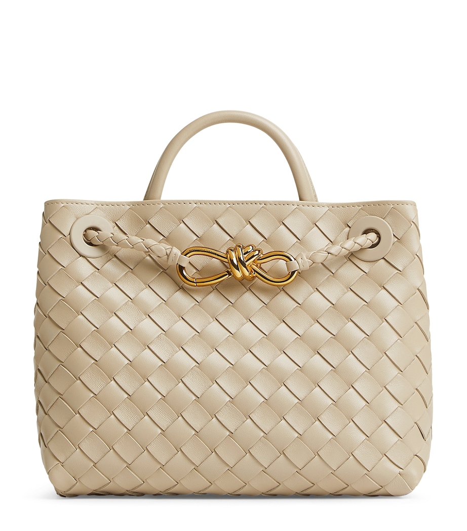 Bottega Veneta Small Leather Andiamo Top-Handle Bag Image 1