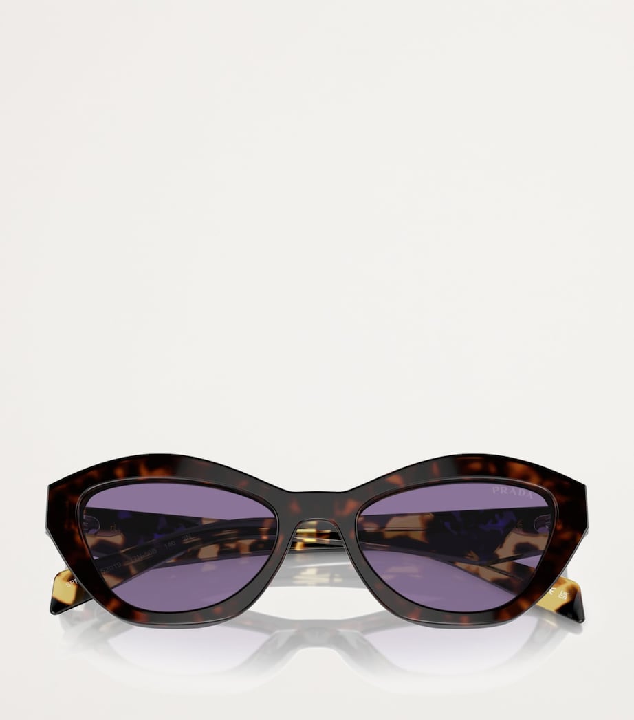 Tortoiseshell Cat-Eye Sunglasses 17N50B Image 5