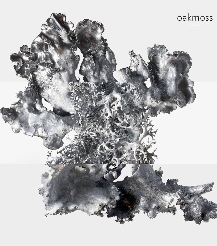 H24 Eau de Parfum (50ml) NO COLOUR Image 6