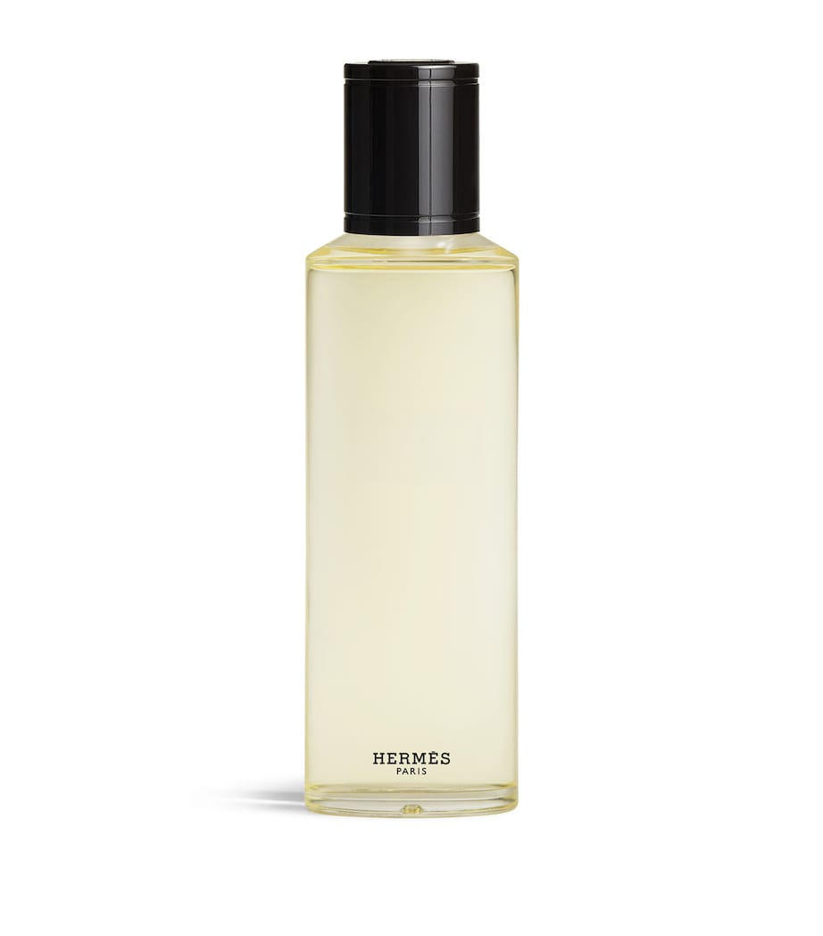 HERMÈS Terre d’Hermès Eau Givrée Eau de Parfum Refill (125ml) Image 1