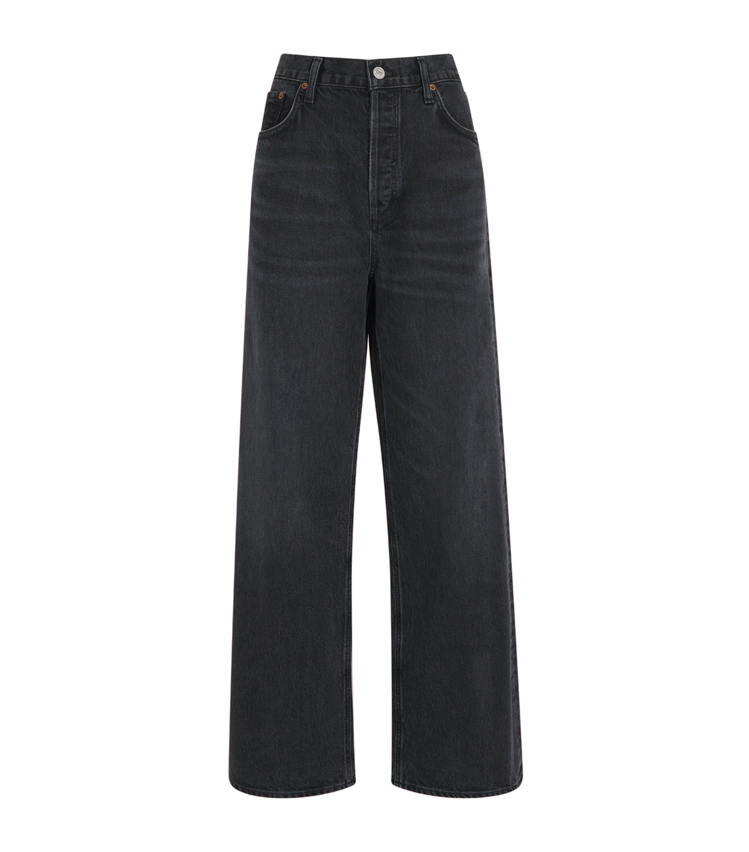 Agolde The Low-slung Baggy Jeans In Black