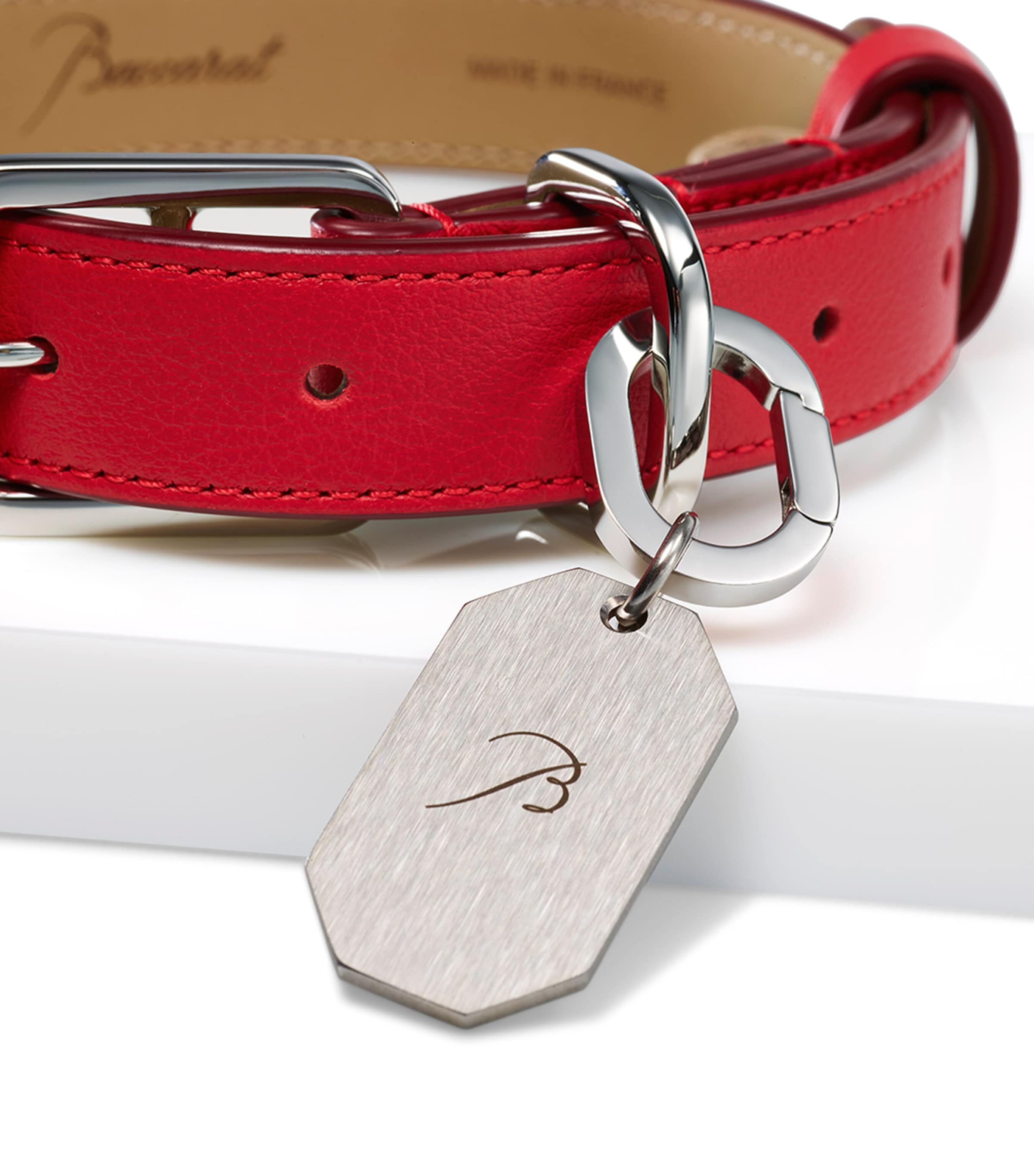 Leather Louxor Pet Collar (Small) CLEAR Image 2