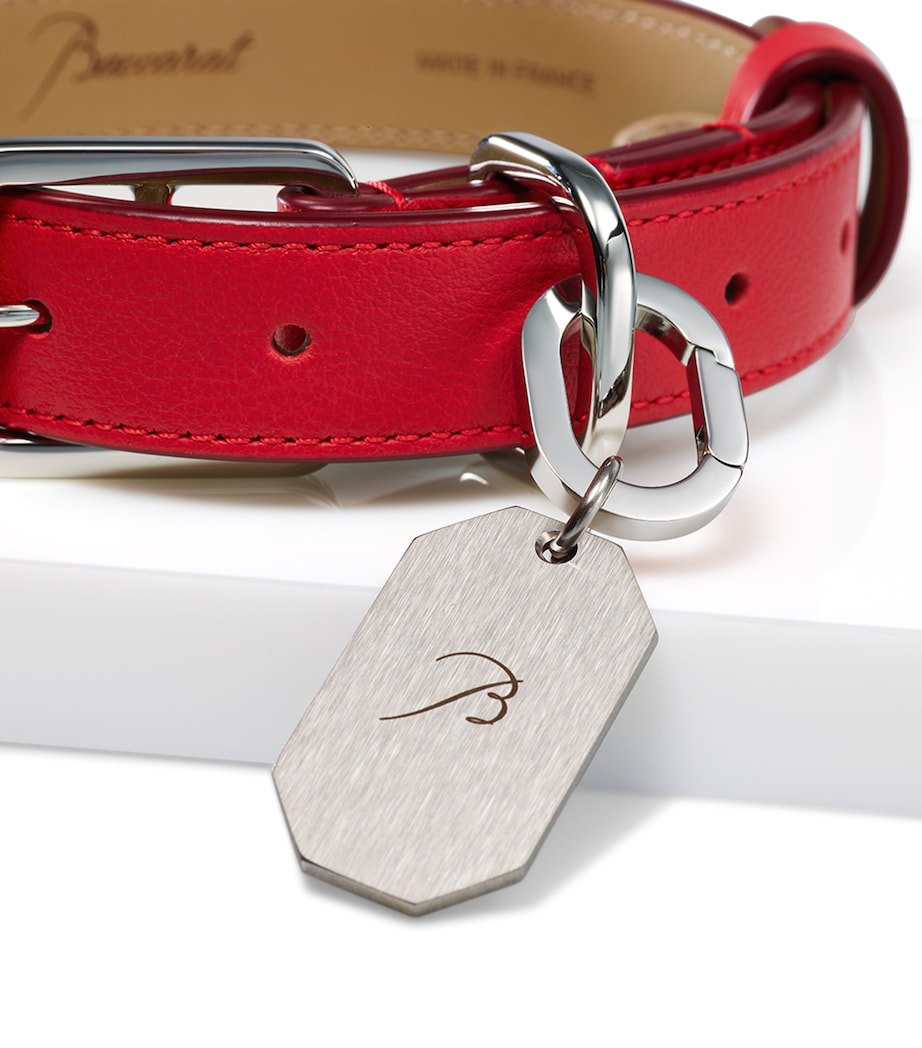 Leather Louxor Pet Collar (Small) CLEAR Image 2