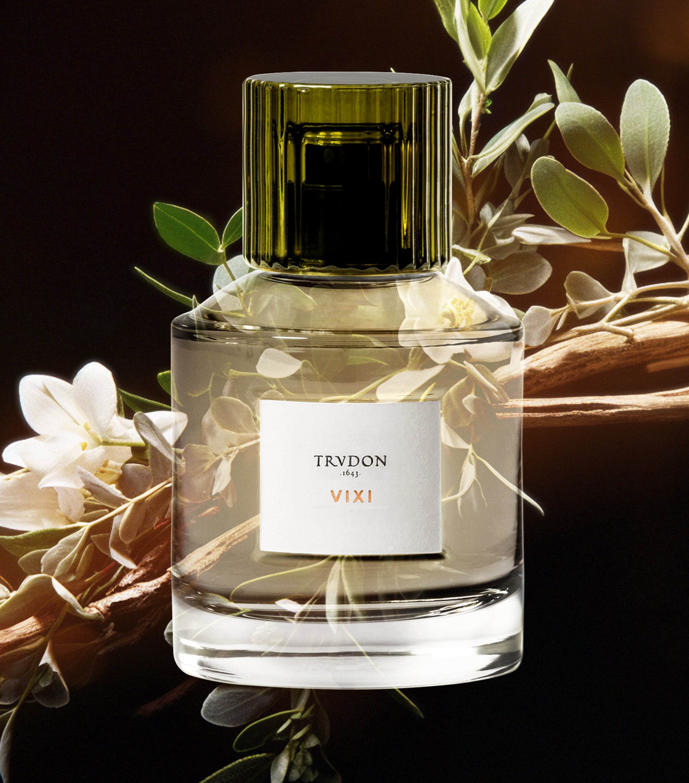 Vixi Eau de Parfum  (100ml) CLEAR Image 3
