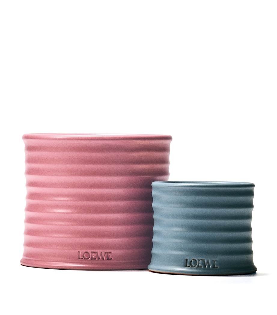 LOEWE Large Ivy Candle (2.12kg) Image 4