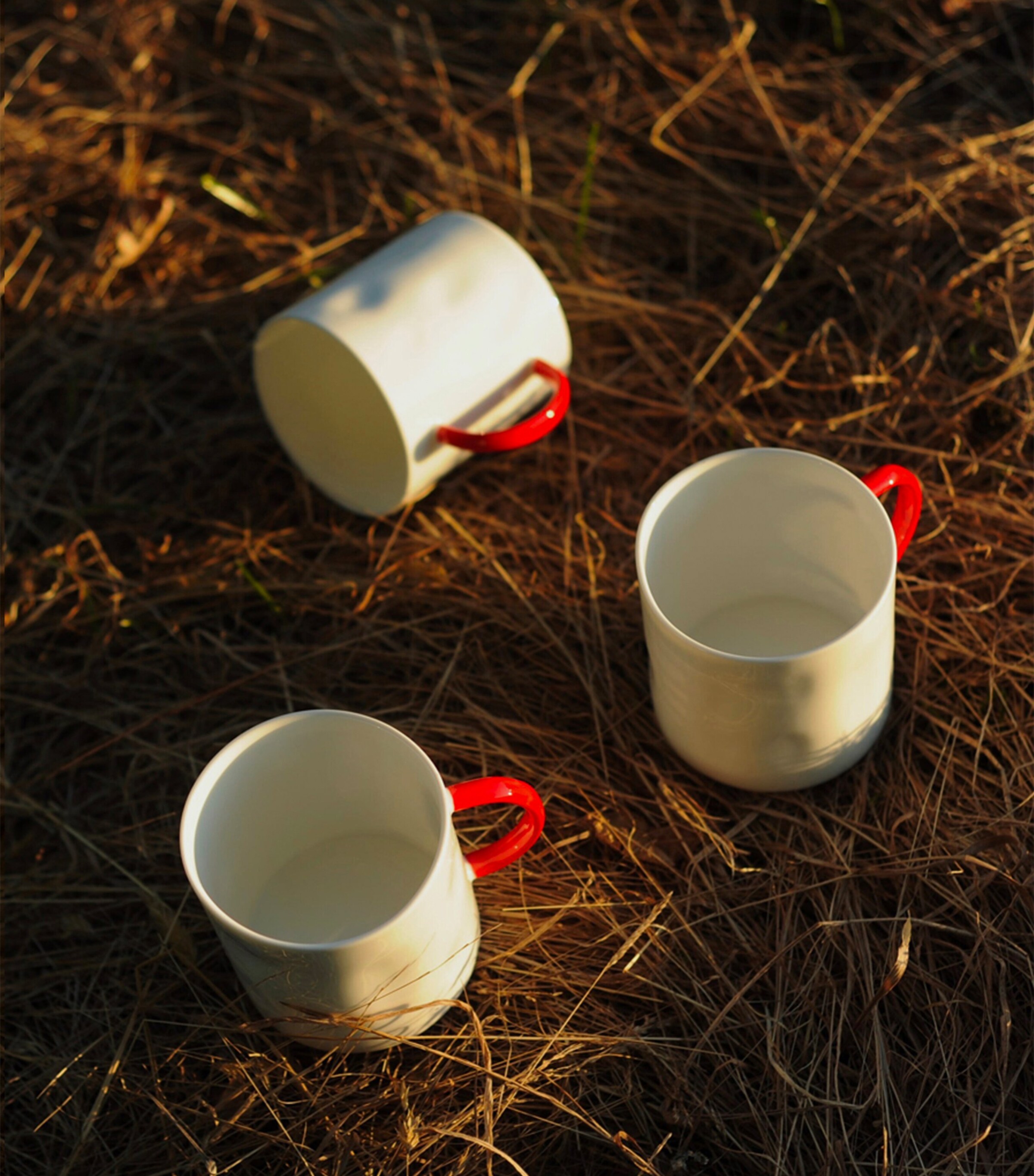 FELDSPAR Fine Bone China Geranium Tea Mug Geranium Image 3