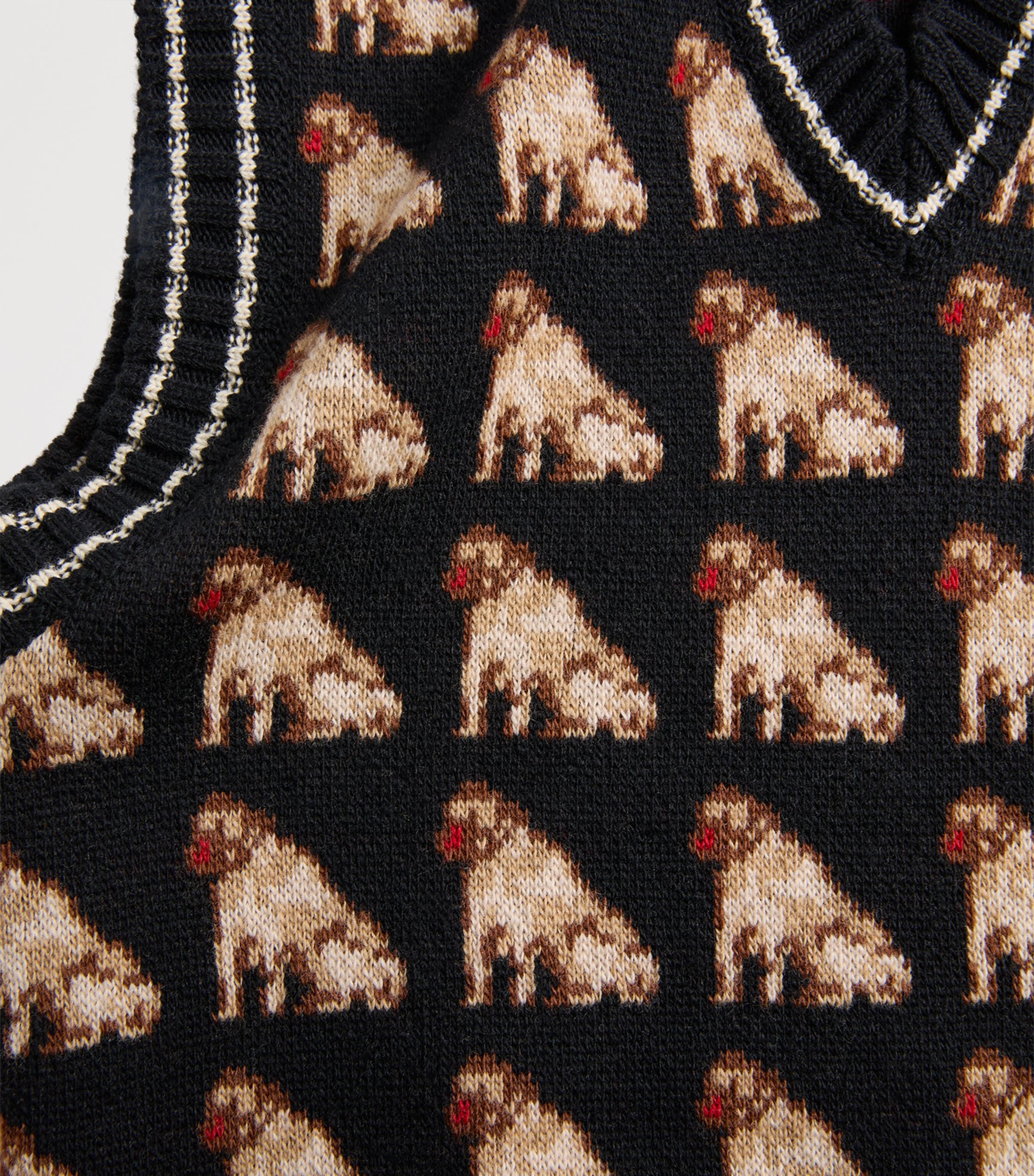 Wool Petit Charles Sweater Vest N78 Image 5