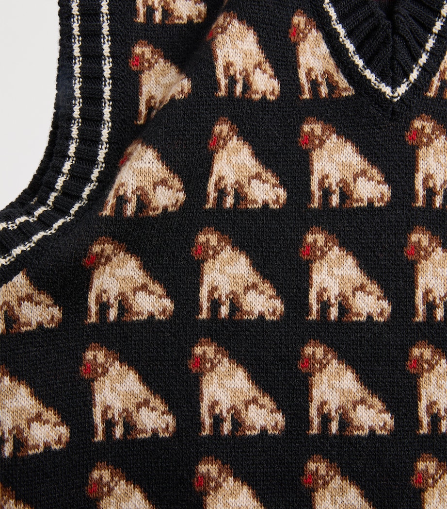 Wool Petit Charles Sweater Vest N78 Image 5