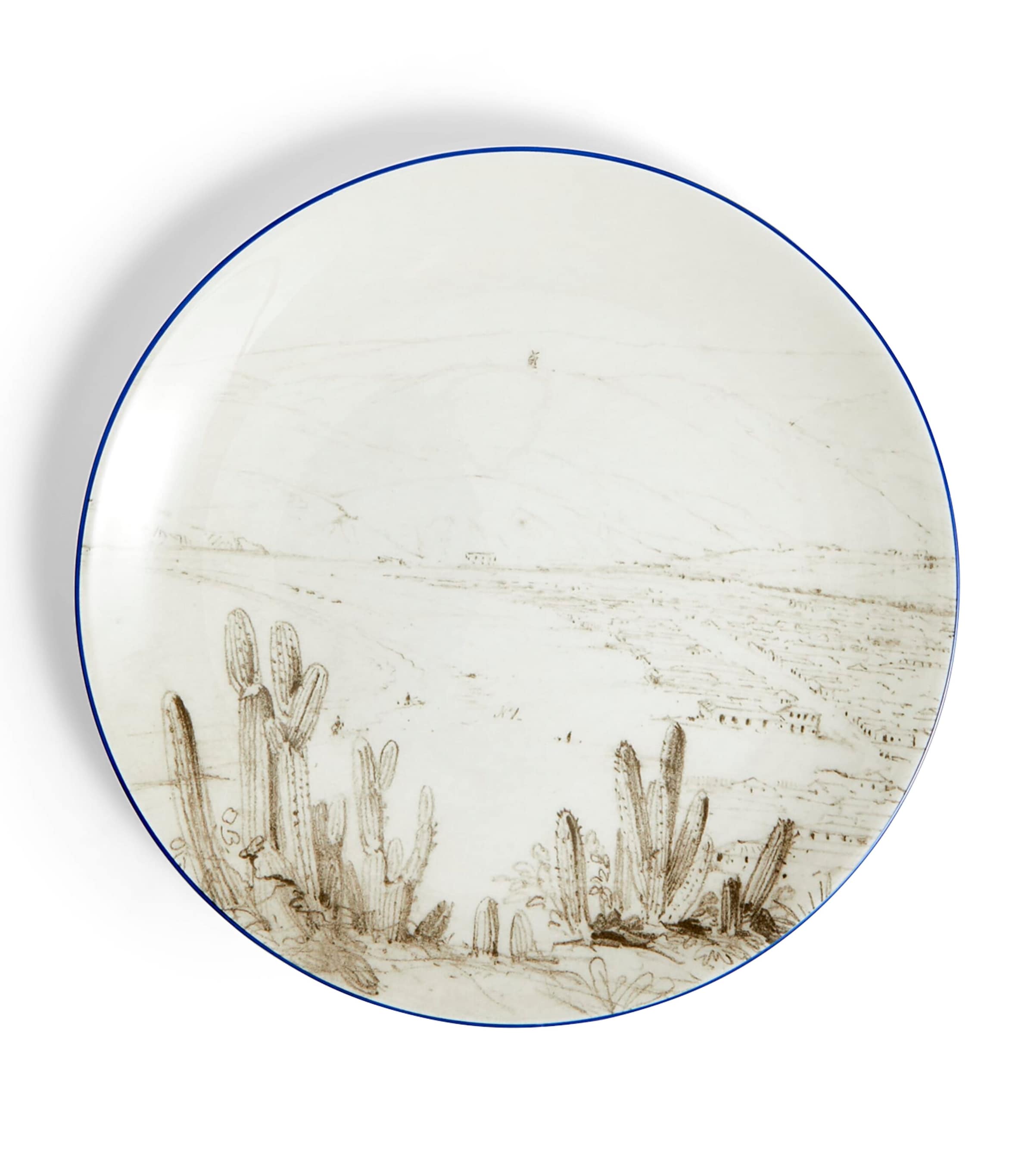 Wedgwood Voyage of the Beagle Chile Plate, Teacup and Saucer Set Image 3