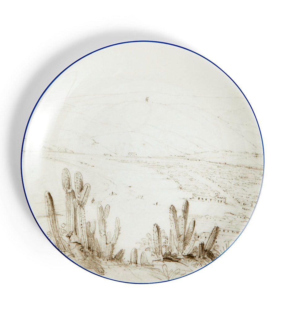 Voyage of the Beagle Chile Plate, Teacup and Saucer Set MULTI Image 3