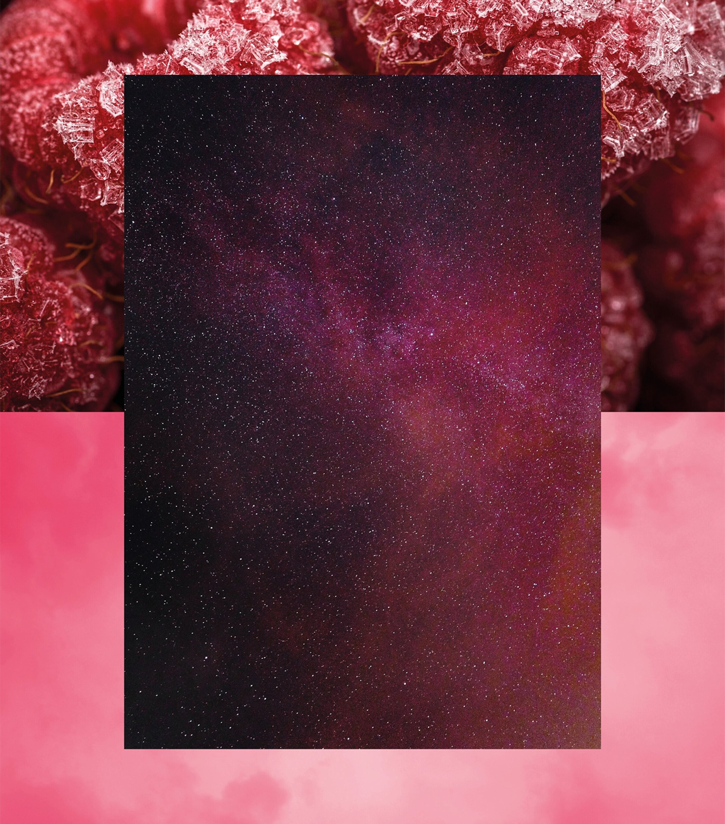 Coda Pure Perfume (50ml) NO COLOUR Image 4