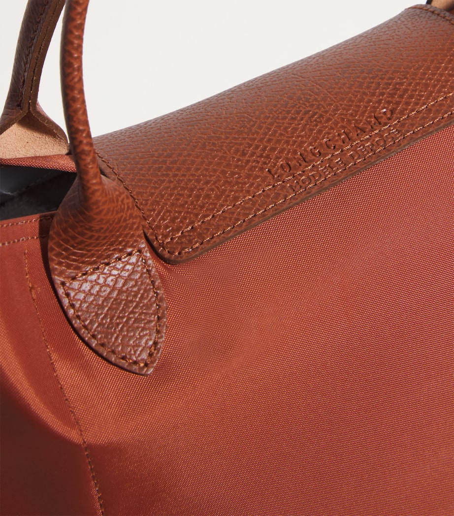 Medium Le Pliage Green Tote Bag 404 CHESTNUT Image 6