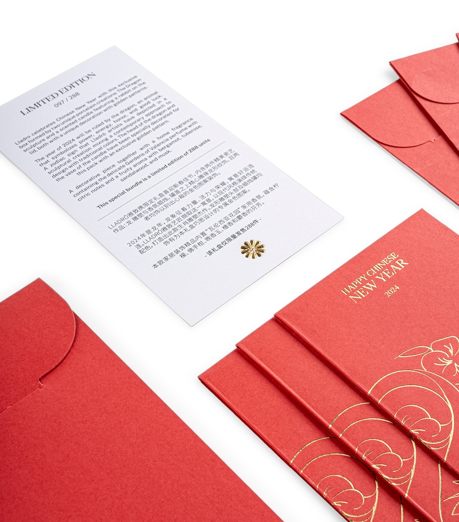 Year of the Dragon Set RED & GOLD Image 3