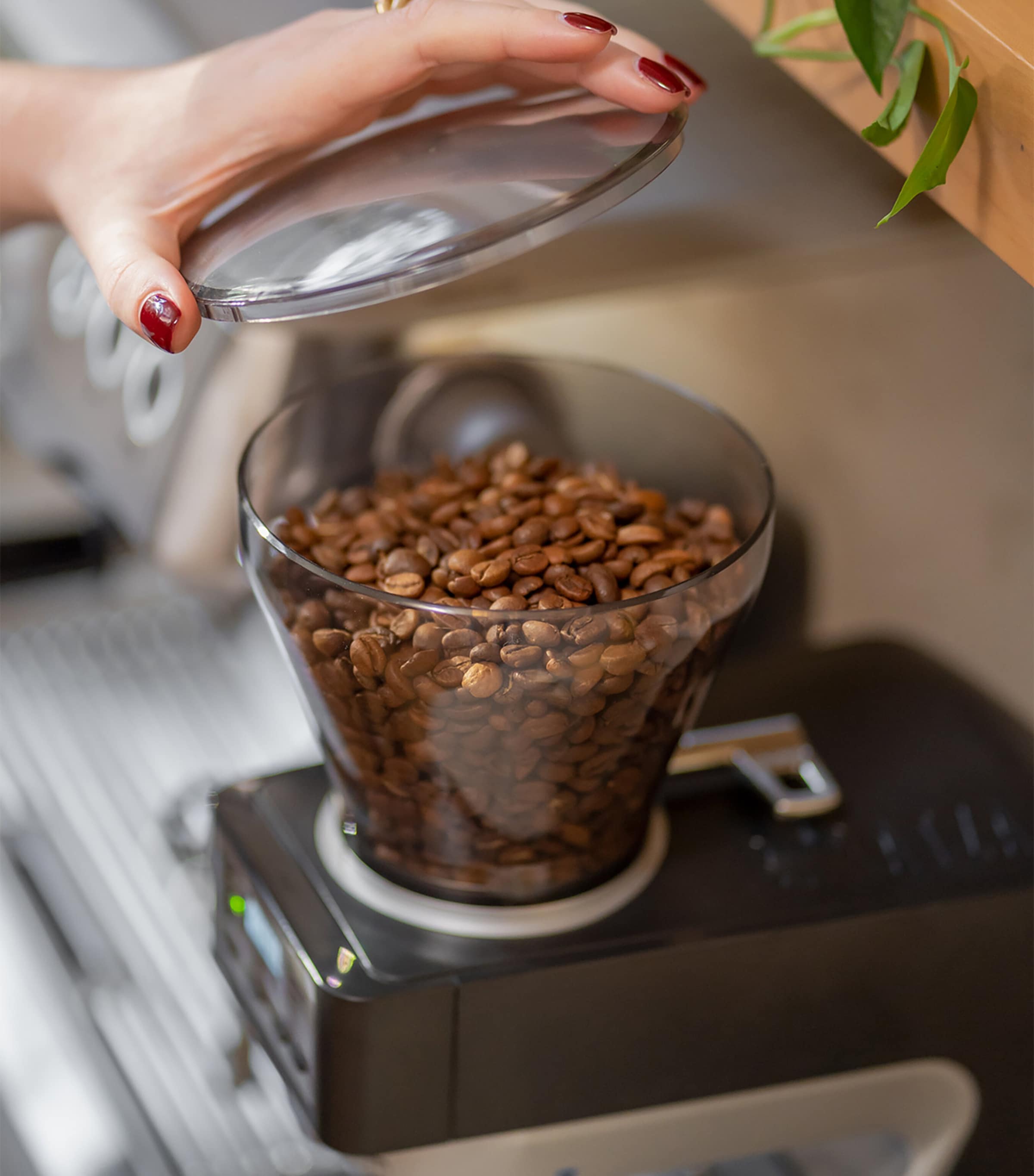 Sette 270Wi Conical Burr Coffee Grinder BRUSHED SS & BLACK Image 5