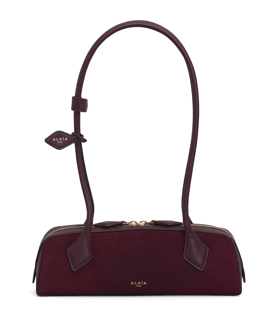 Small Suede Le Teckel Shoulder Bag ROUGE GRENAT Image 1