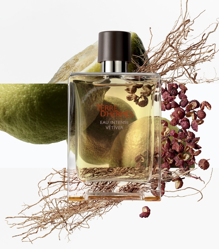 HERMÈS Terre d'Hermès Eau Intense Vétiver Eau de Parfum (200ml) Image 2
