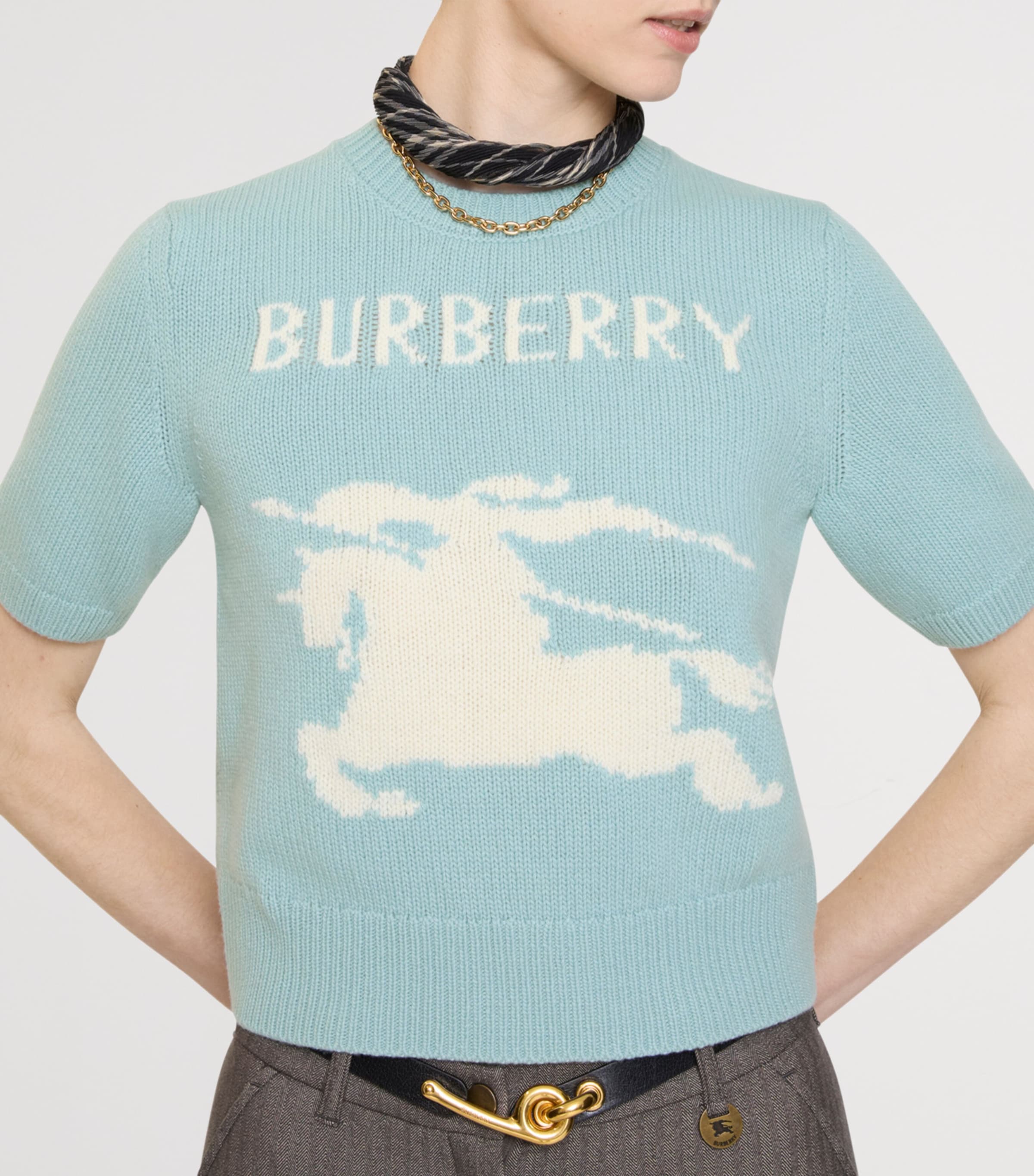 Wool-Cashmere Short-Sleeve EKD Sweater EGGSHELL BLUE Image 3