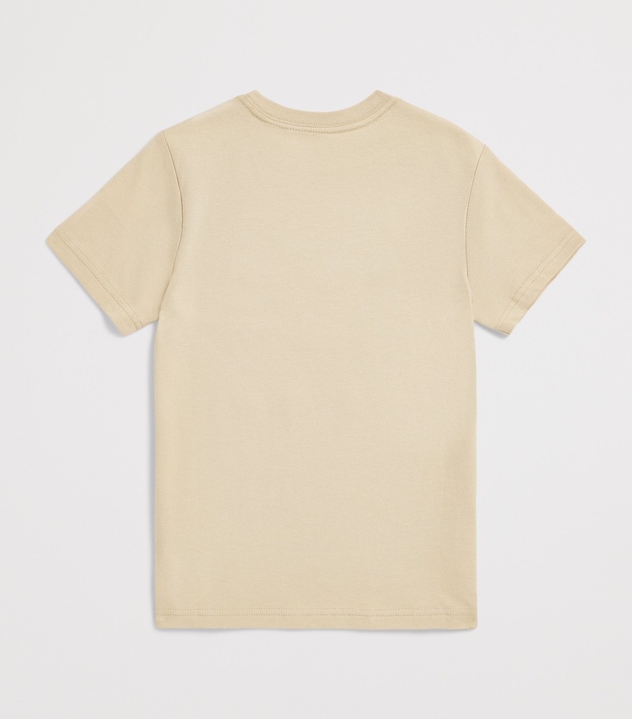 Ralph Lauren Kids Cotton Polo Expedition T-Shirt (2-7 Years) Tallow Cream Image 2