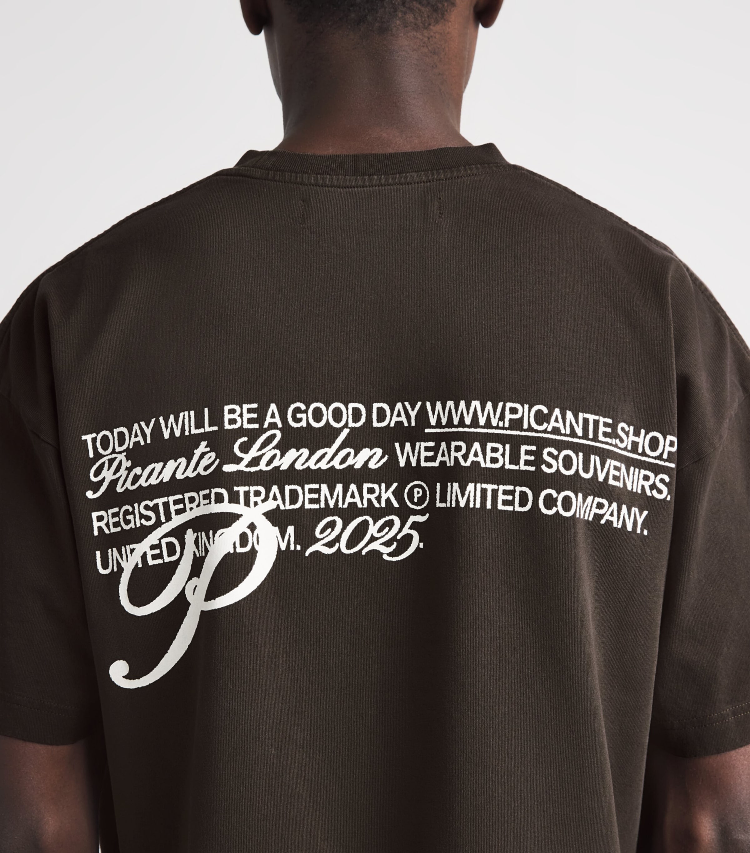 Picante Mens Organic Cotton Gallery Logo T-Shirt Brown Image 3