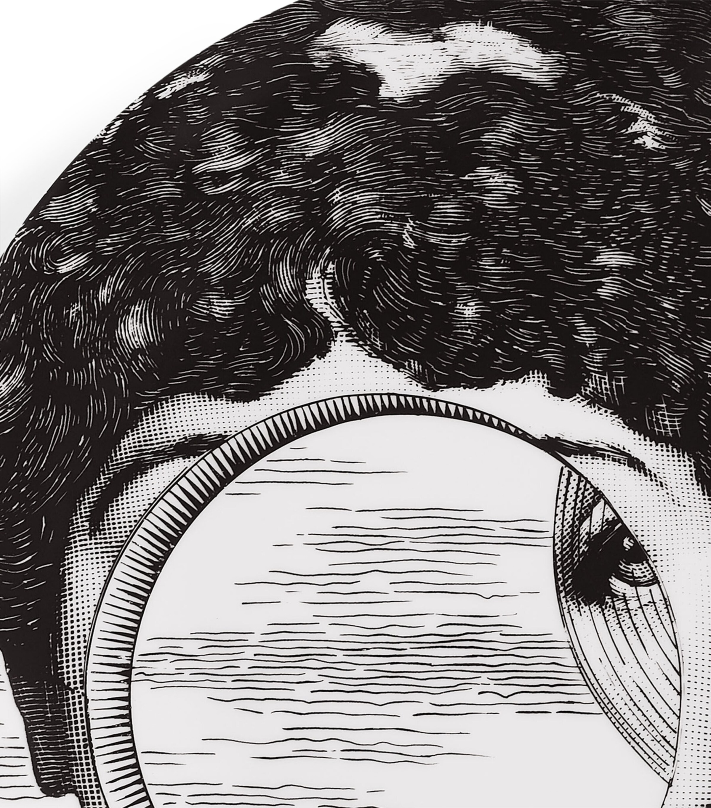 Fornasetti Tema e Variazioni No. 279 Wall Plate (26cm) Image 4