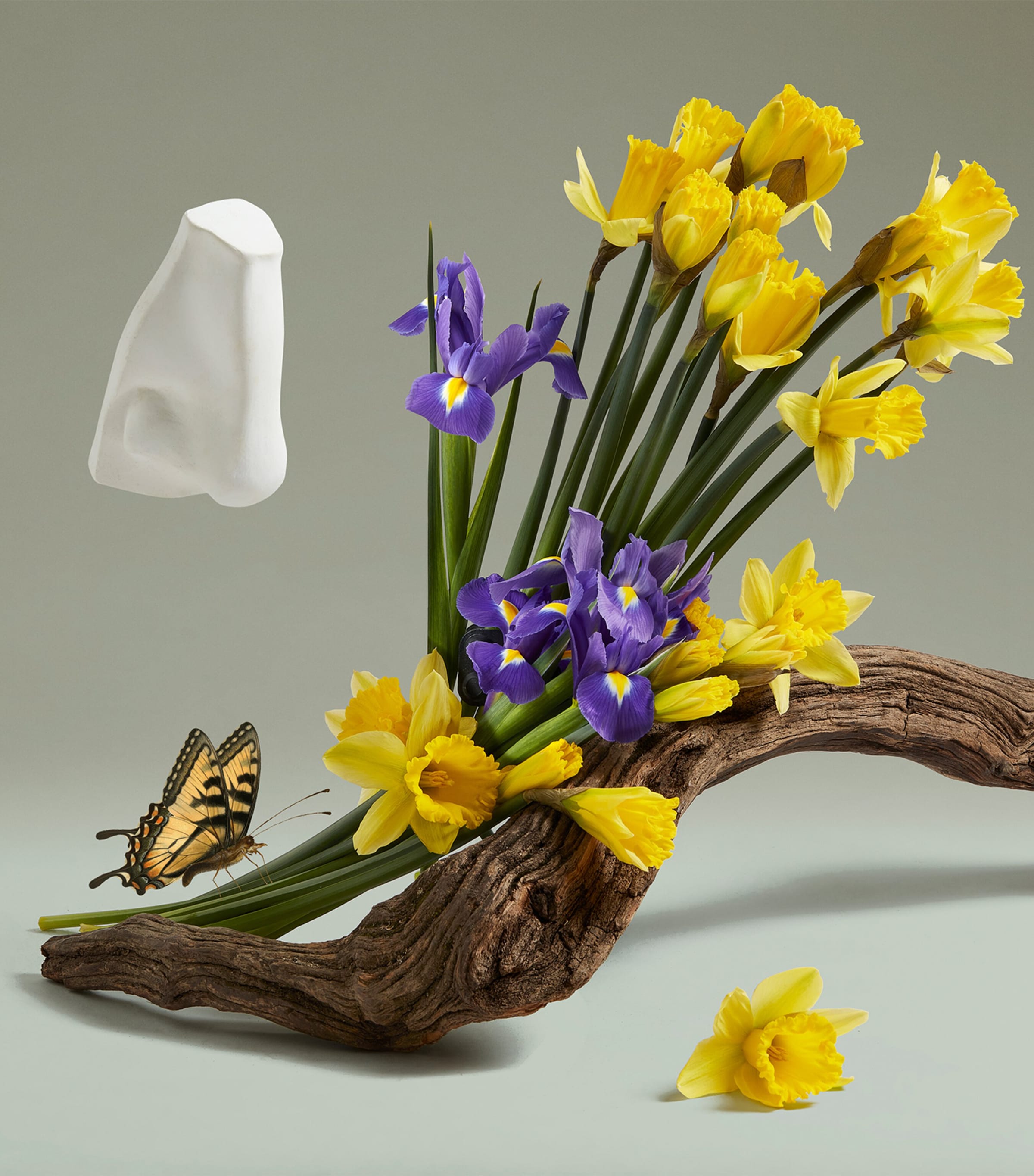 The Revenge of Lady Blanche Eau de Parfum (75ml) NO COLOUR Image 4