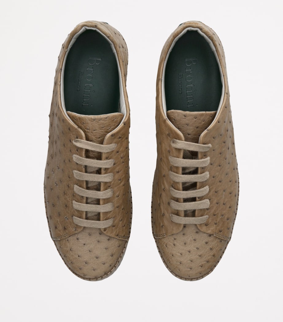 Ostrich Sneakers GREY/DARK Image 4