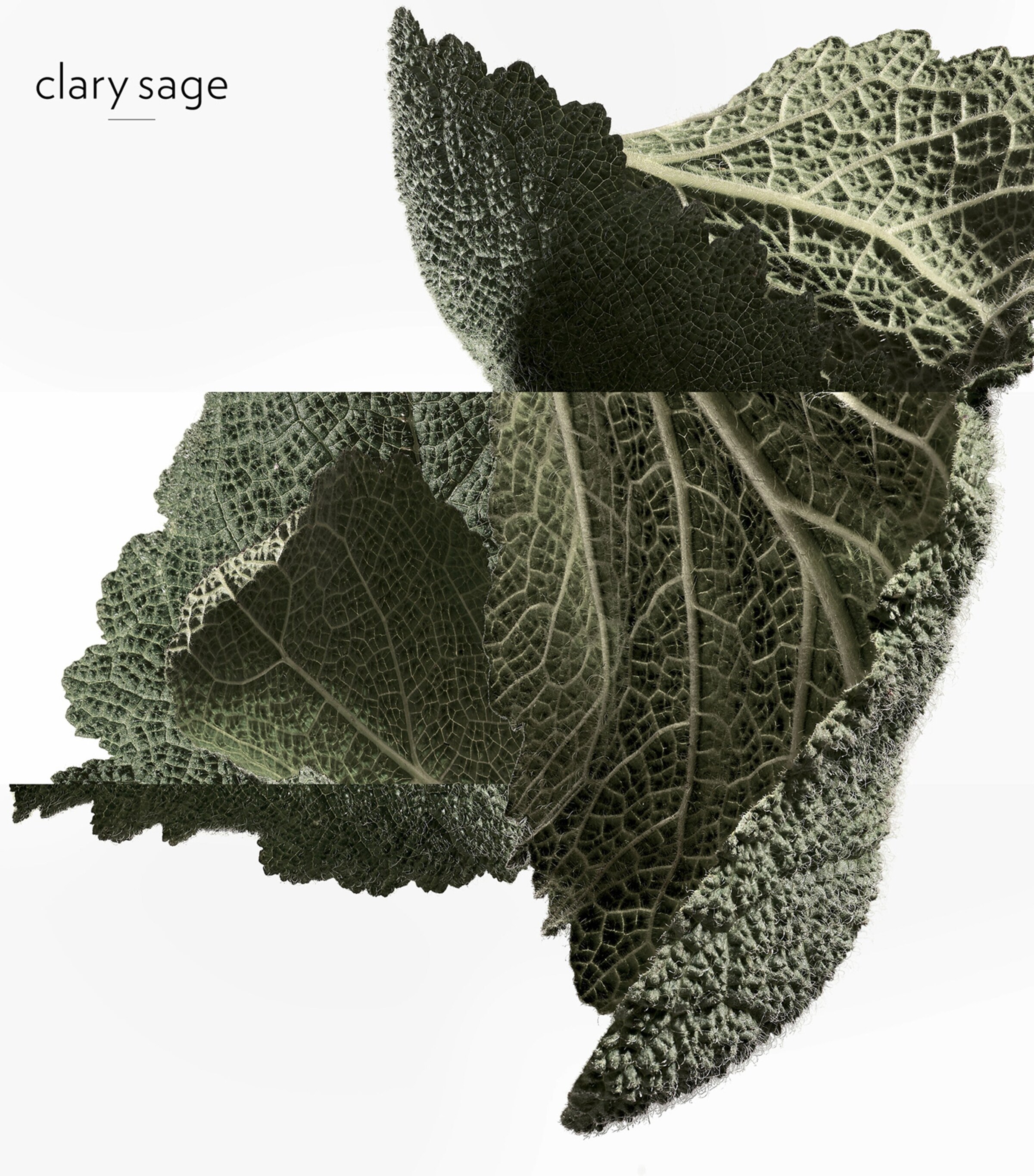 HERMÈS H24 Eau de Parfum (50ml) Image 5