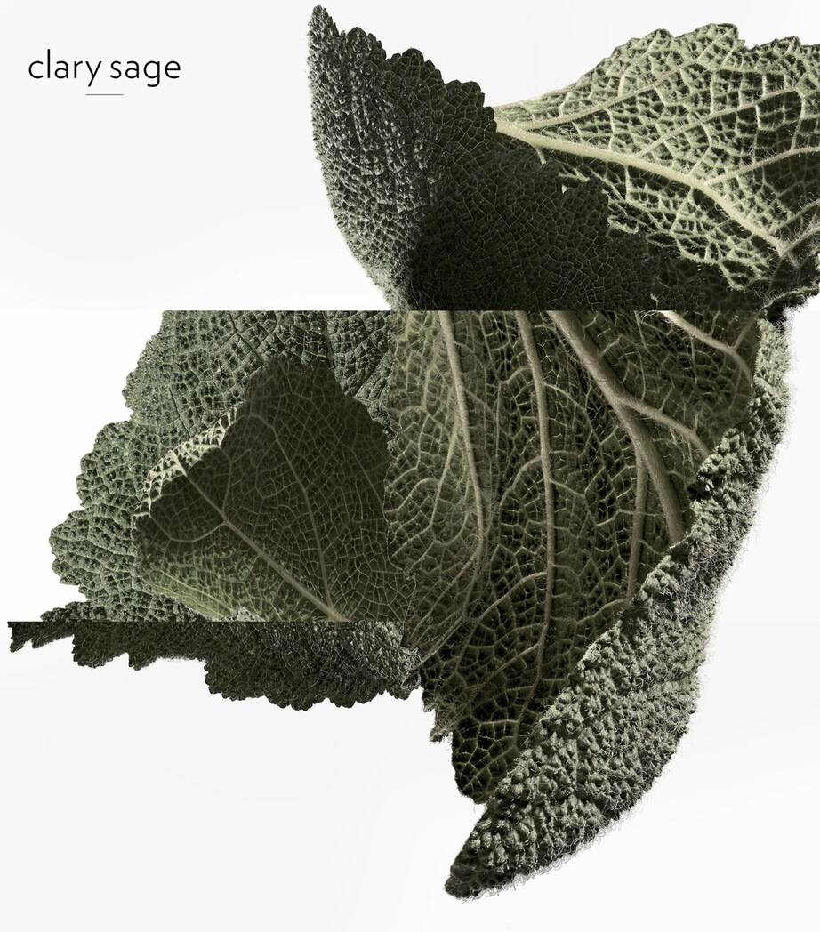 H24 Eau de Parfum (50ml) NO COLOUR Image 5