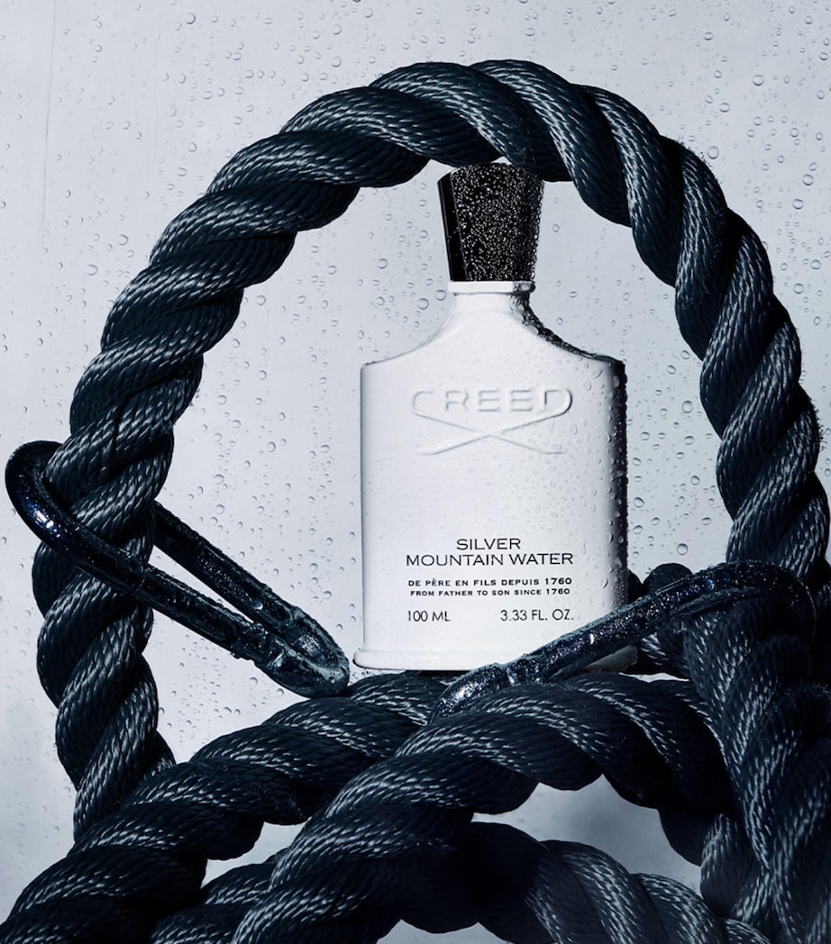 Silver Mountain Water Eau de Parfum  (100ml) NO COLOUR Image 3