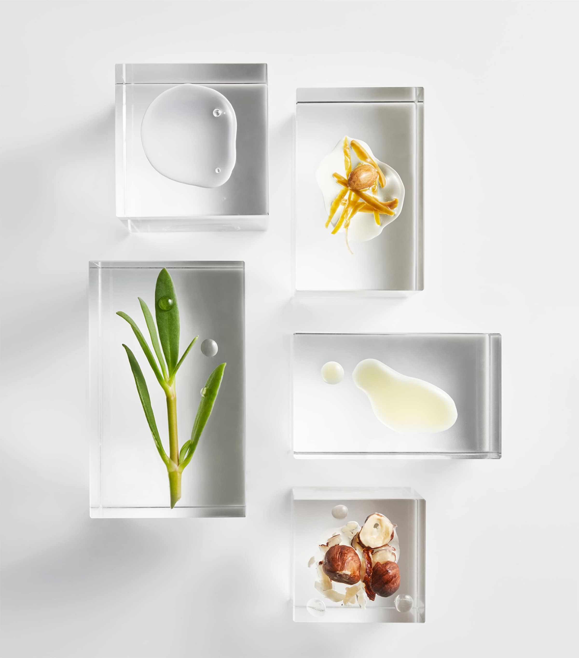 The Absolute Nourishing Lift Oil  (30 x 0.5ml) - Refill NO COLOUR Image 3