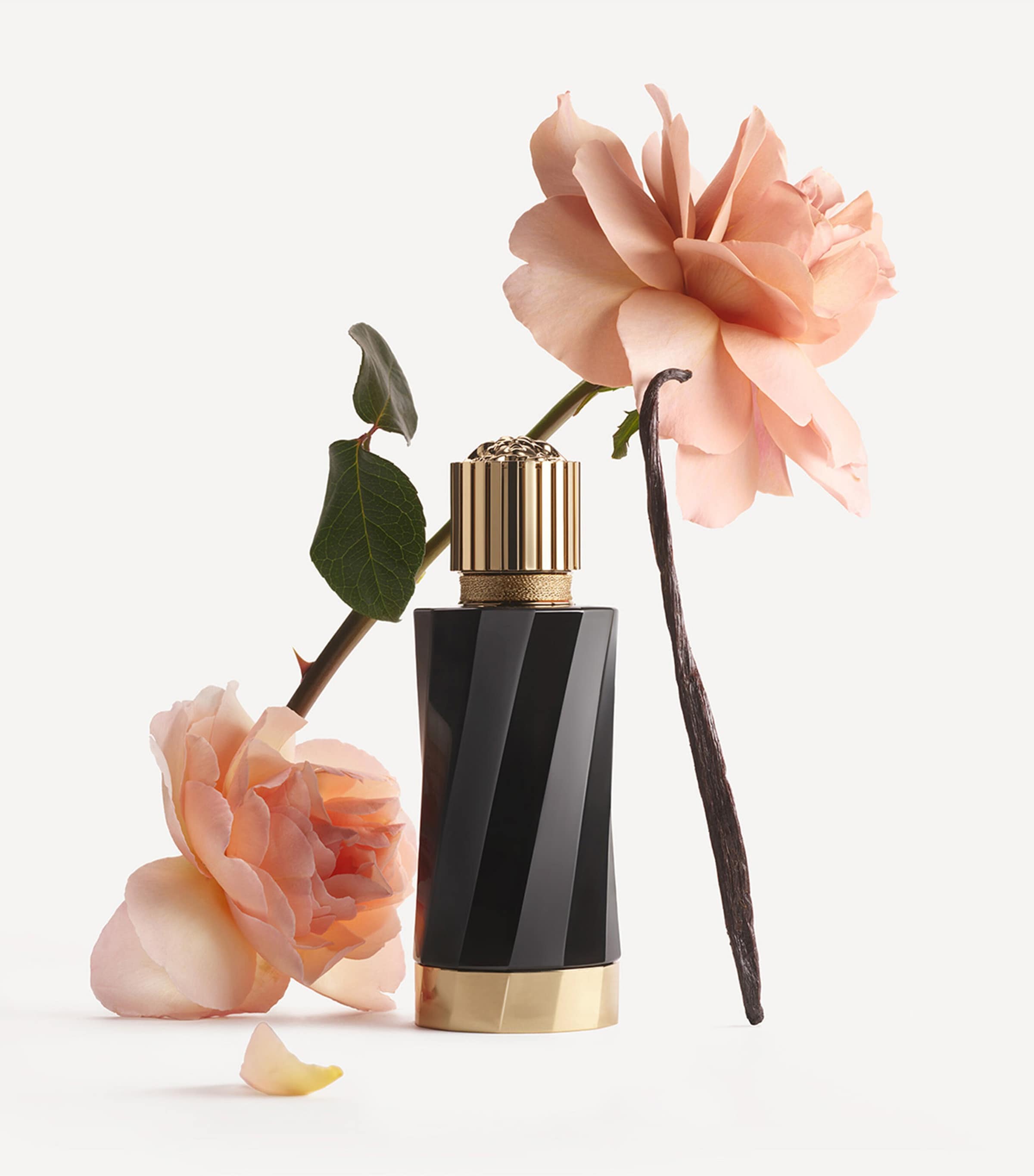 Atelier Collection Vanille Rouge Eau de Parfum NO COLOUR Image 3